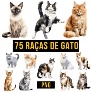 Kit Digital de 75 Raças de Gatos em PNG