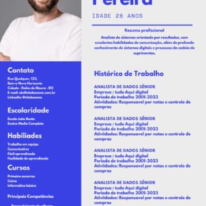 3 Modelos de Currículo Editável no Canva